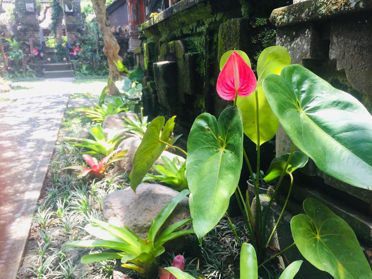 Tungeh Inn Ubud  Bagian luar foto