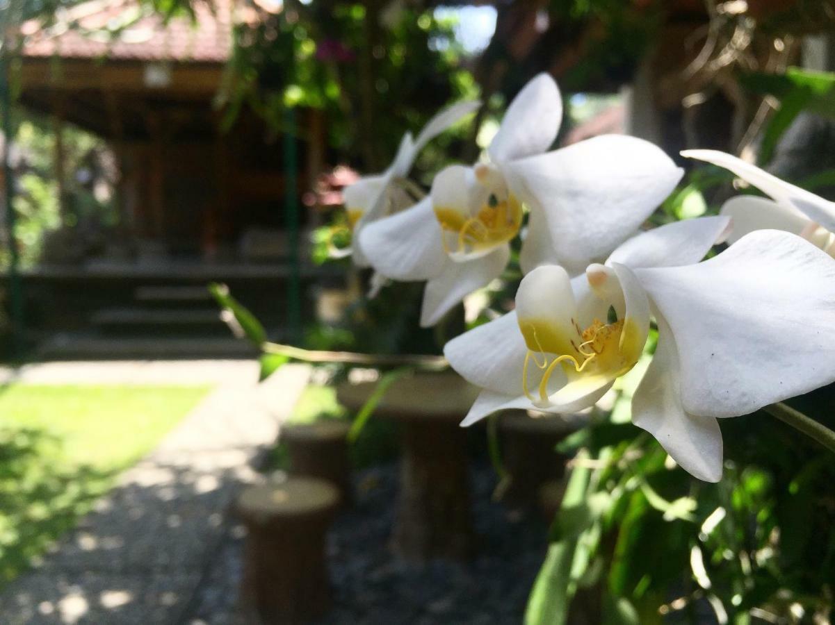 Tungeh Inn Ubud  Bagian luar foto